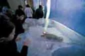 Ötzi Cultour