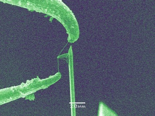 Käseschneider für die Nano-Welt