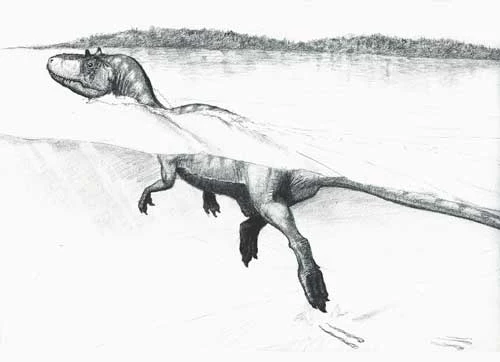 Schwimmabzeichen für die Dinos