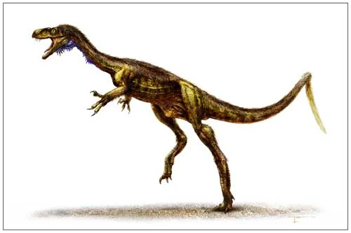 T. rex und sein Zwergen-Urahn