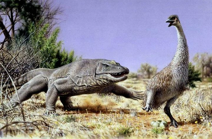 Ur-Australier schmausten Riesen-Eier