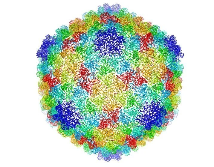 Proteine unterm Kryo-Mikroskop
