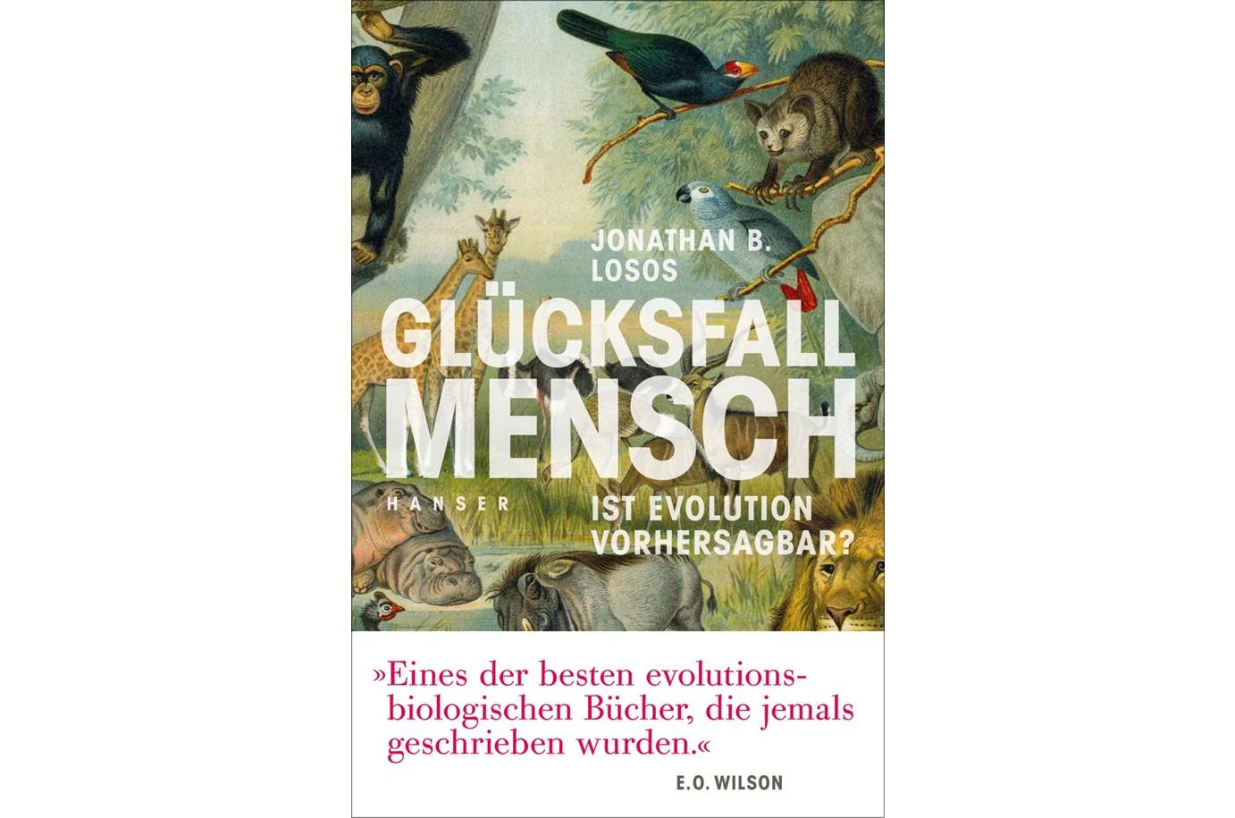 Die Evolution würfelt