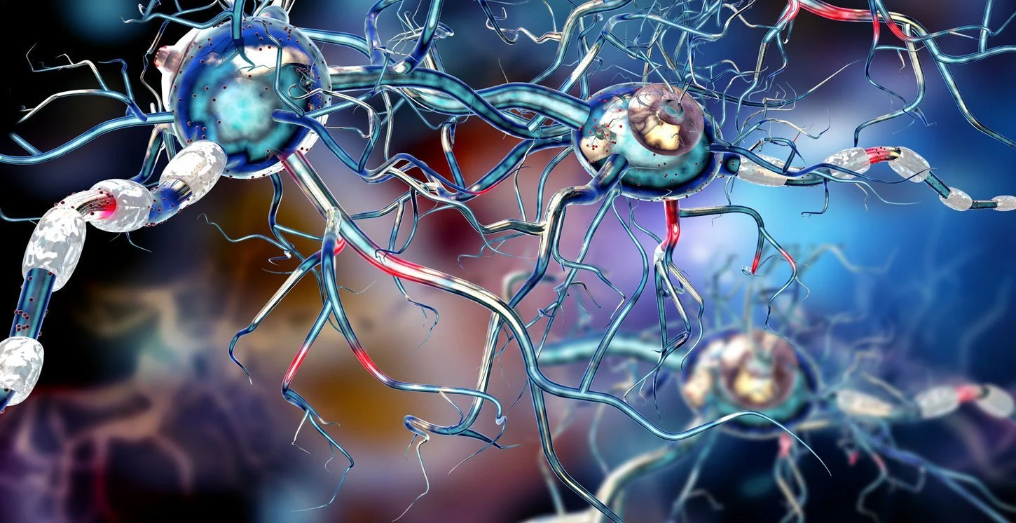 Chorea Huntington: Therapie in Sicht?