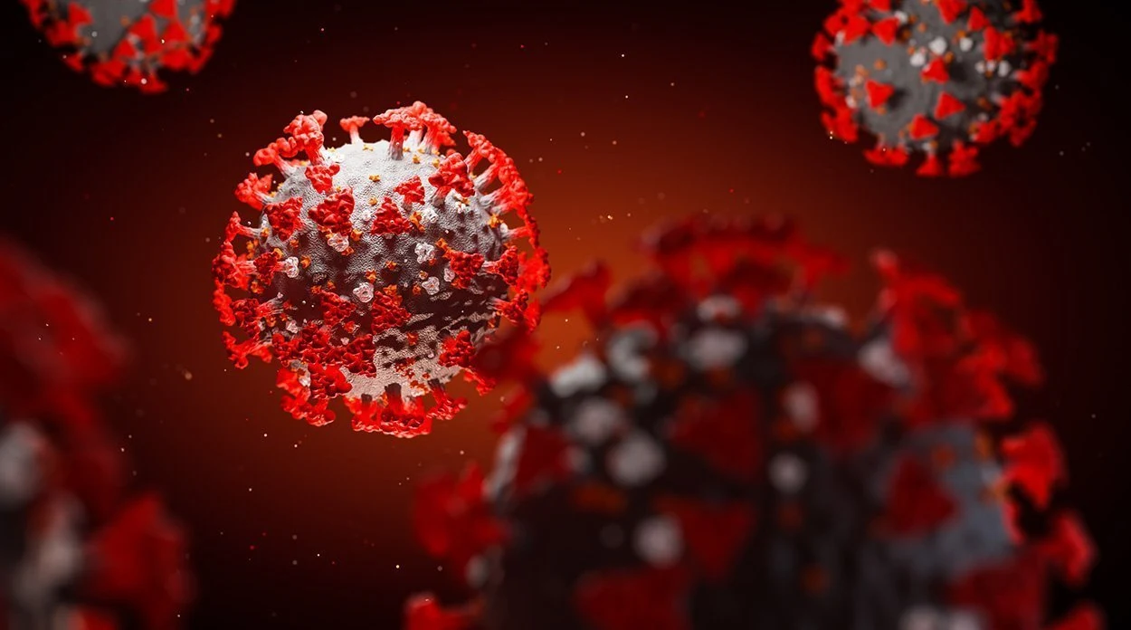 Covid-19: Wie das Immunsystem den Verlauf beeinflusst