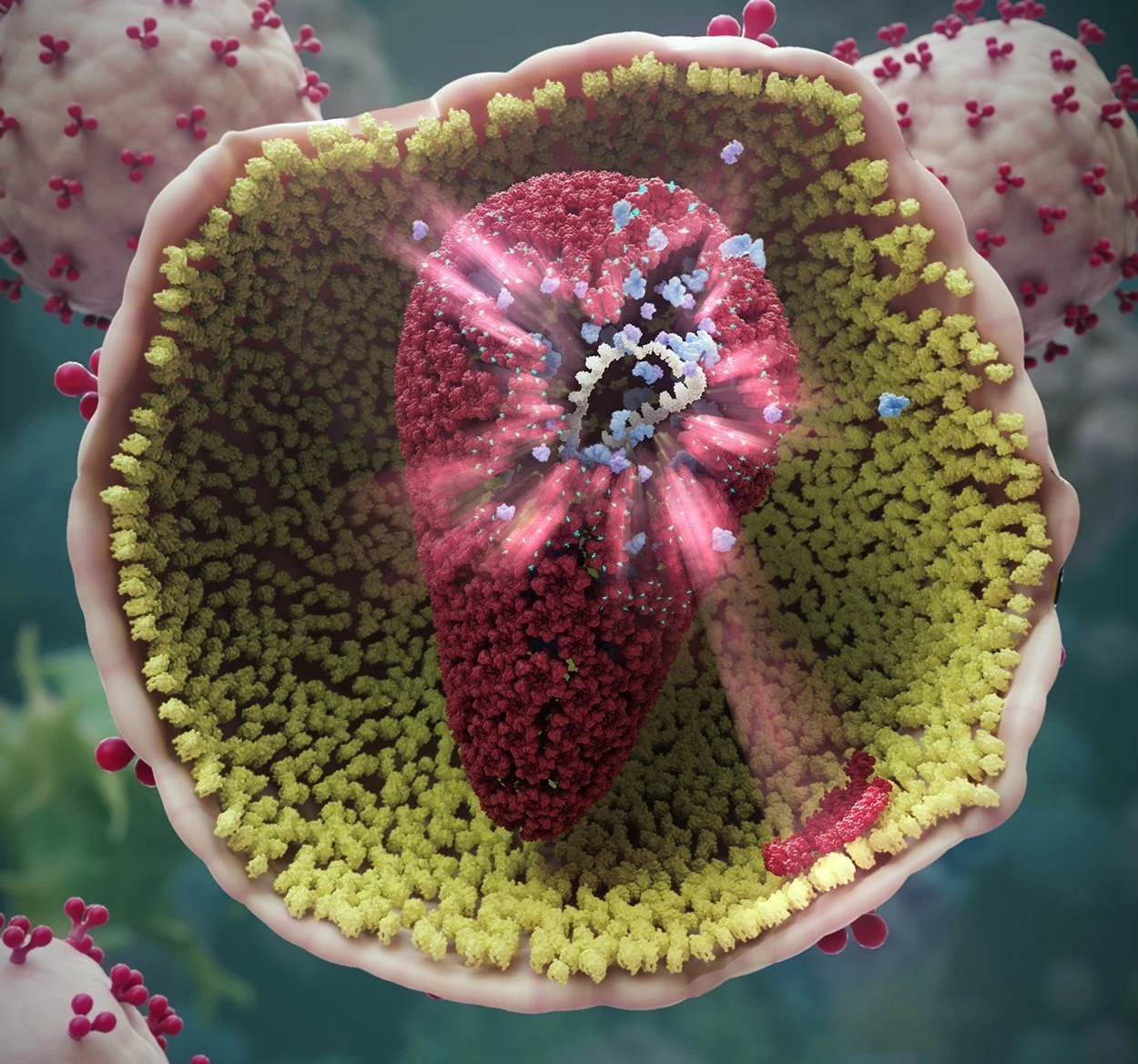 Neues Mittel gegen HIV