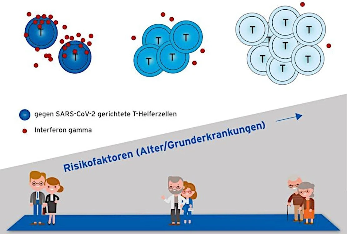 Covid-19-Risikogruppen: Hinweis auf Hintergründe