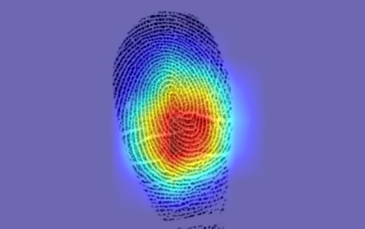 Fingerabdrücke sind sich ähnlicher als gedacht