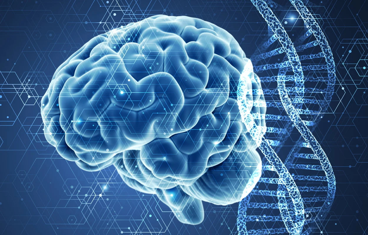 Neue genetische Ursache für Alzheimer-Demenz