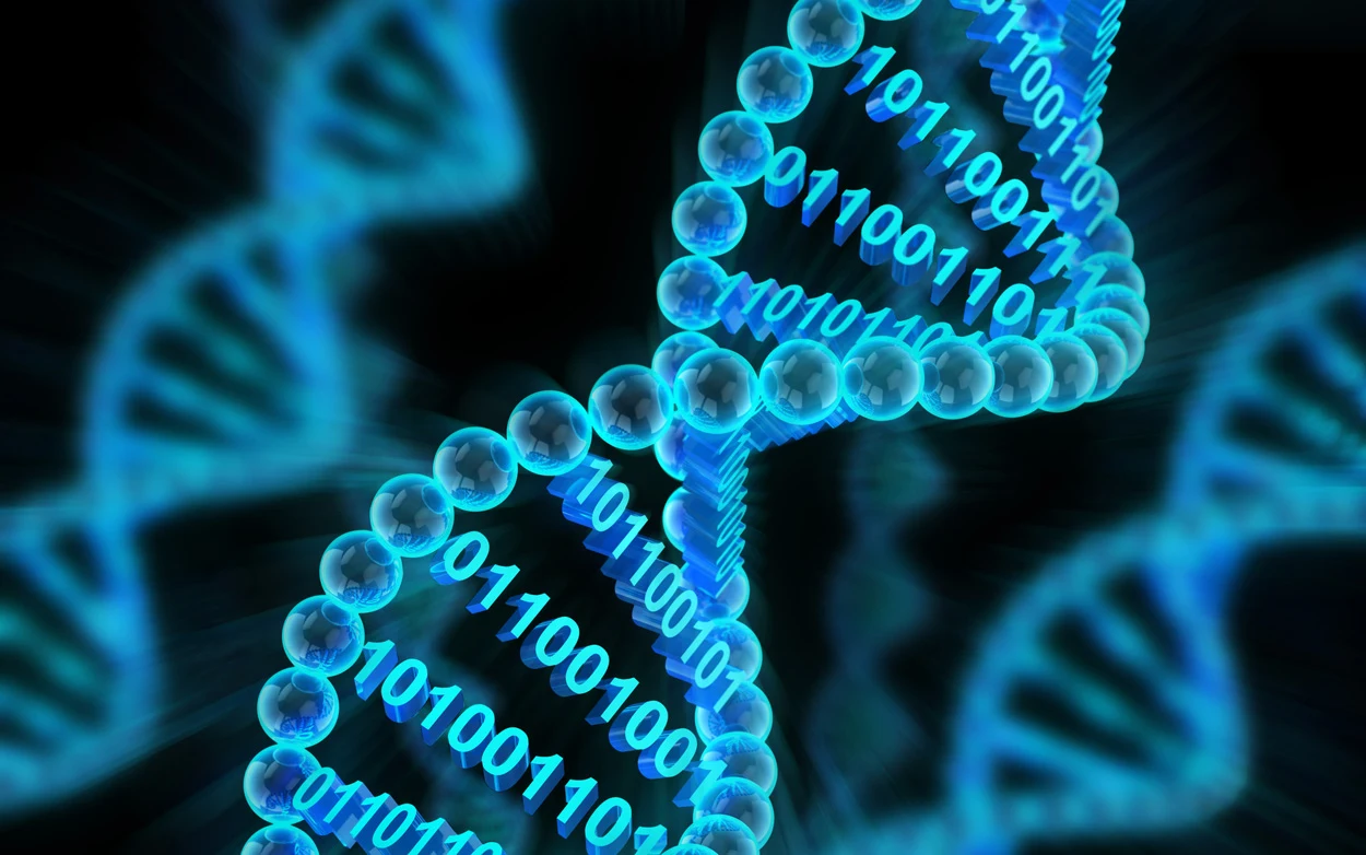 DNA-Computer speichert und verarbeitet Daten