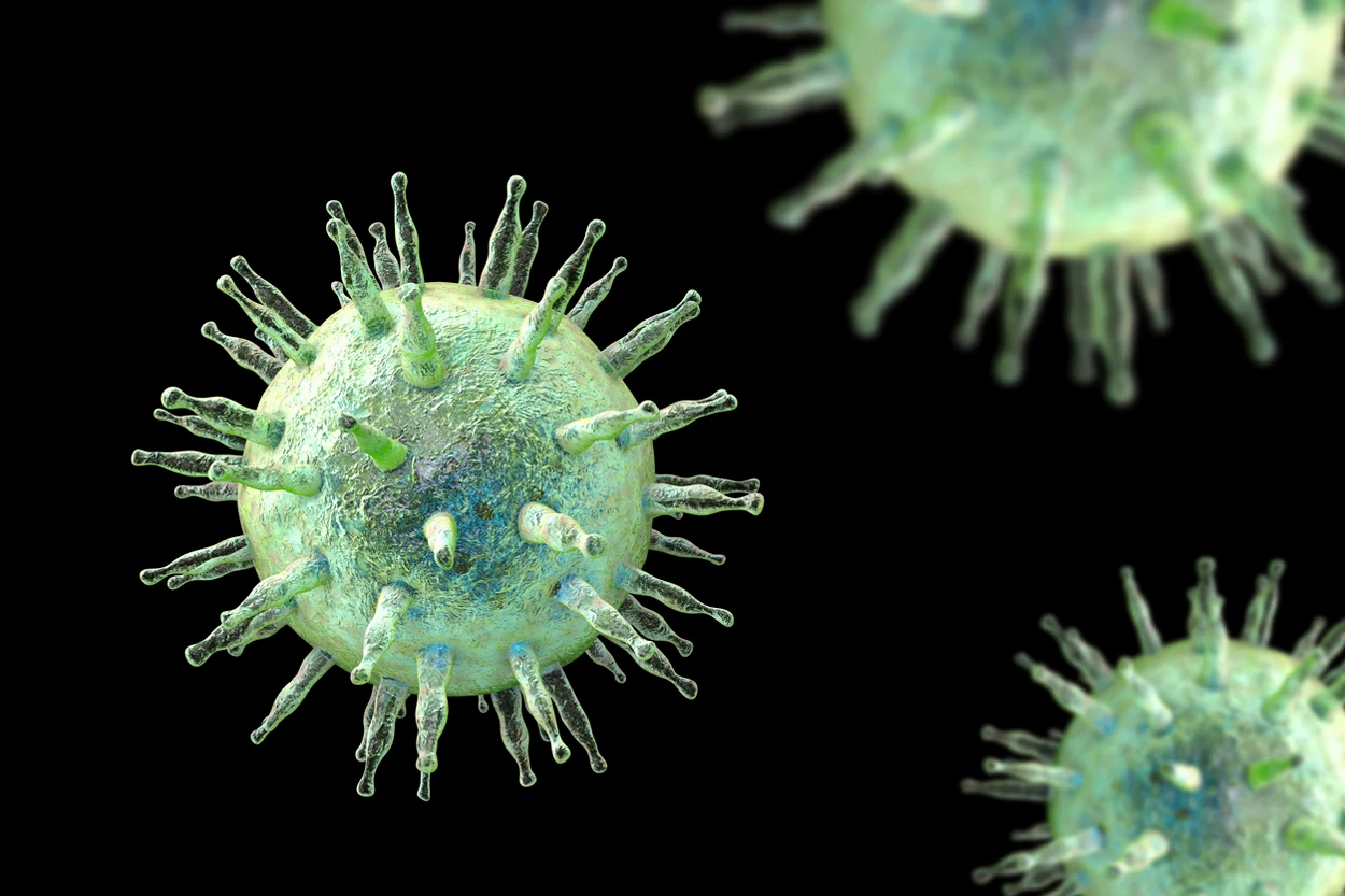 Epstein-Barr-Virus kann Lupus auslösen