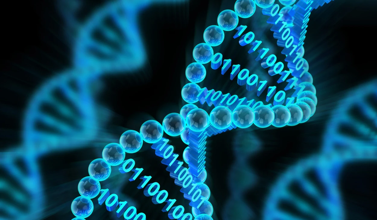 KI-Modell AlphaGenome sagt Funktion großer DNA-Abschnitte voraus