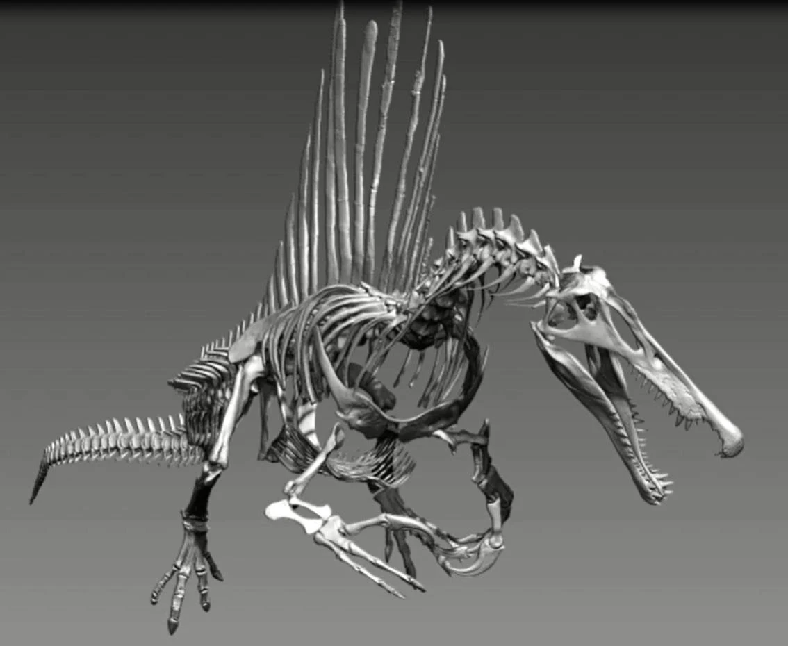 Das Rekord-Monster war ein Aqua-Dino