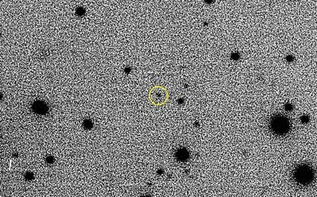 Interstellarer Einwanderer identifiziert