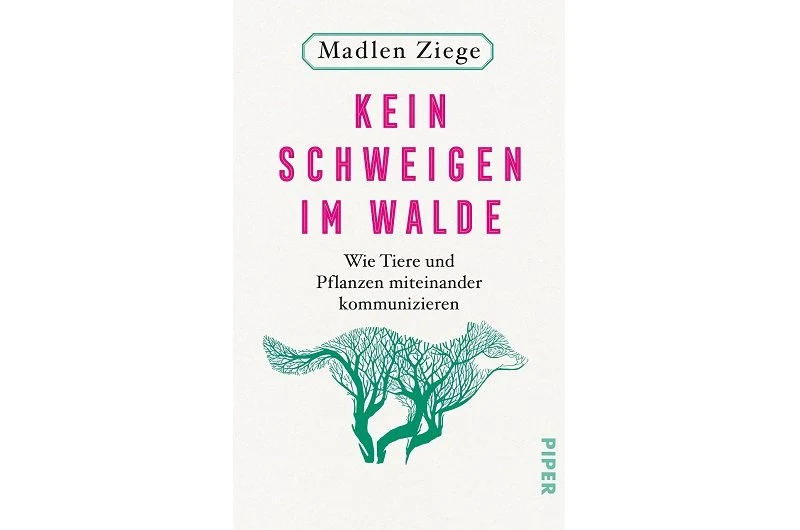 Was sagt der Seehase?