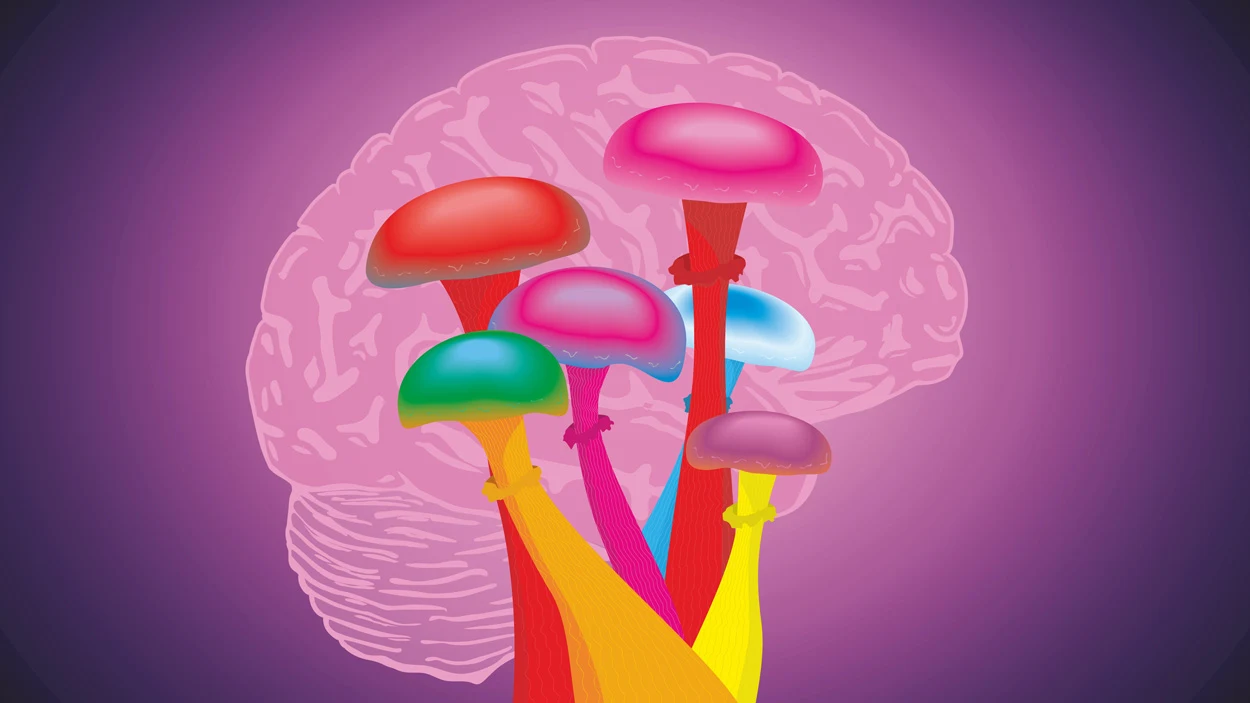 Psilocybin im Test gegen Magersucht