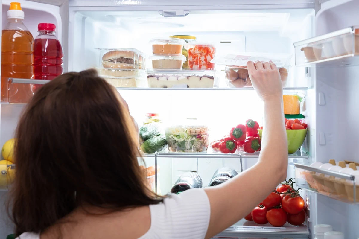 Der Kühlschrank: Eine Revolution in der Menschheitsgeschichte
