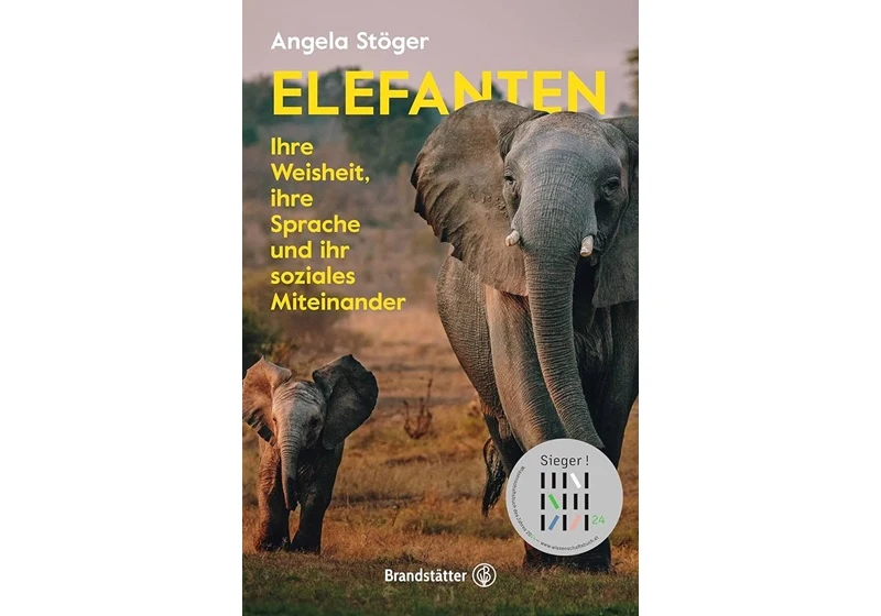 Elefanten verstehen