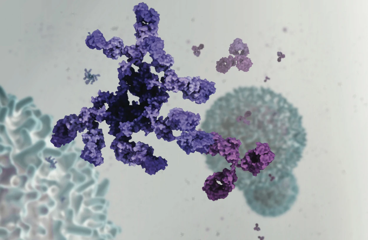 Warum Immuntherapien anfälliger für Infektionen machen