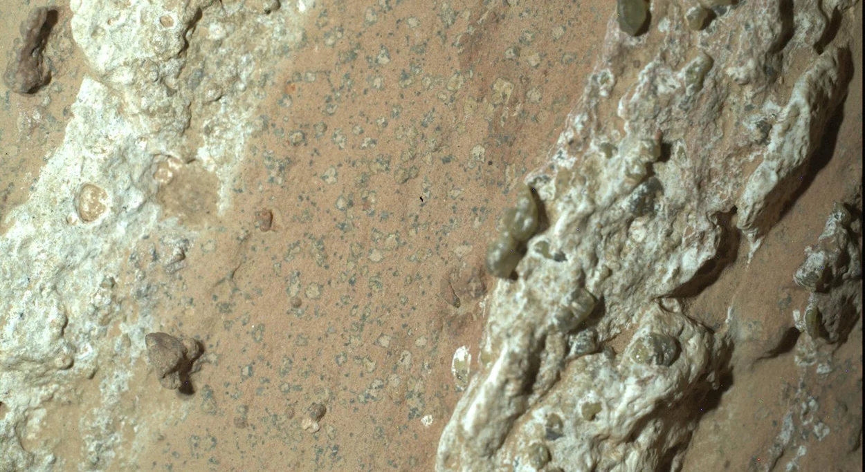 Perseverance-Rover findet potenzielle Biosignatur