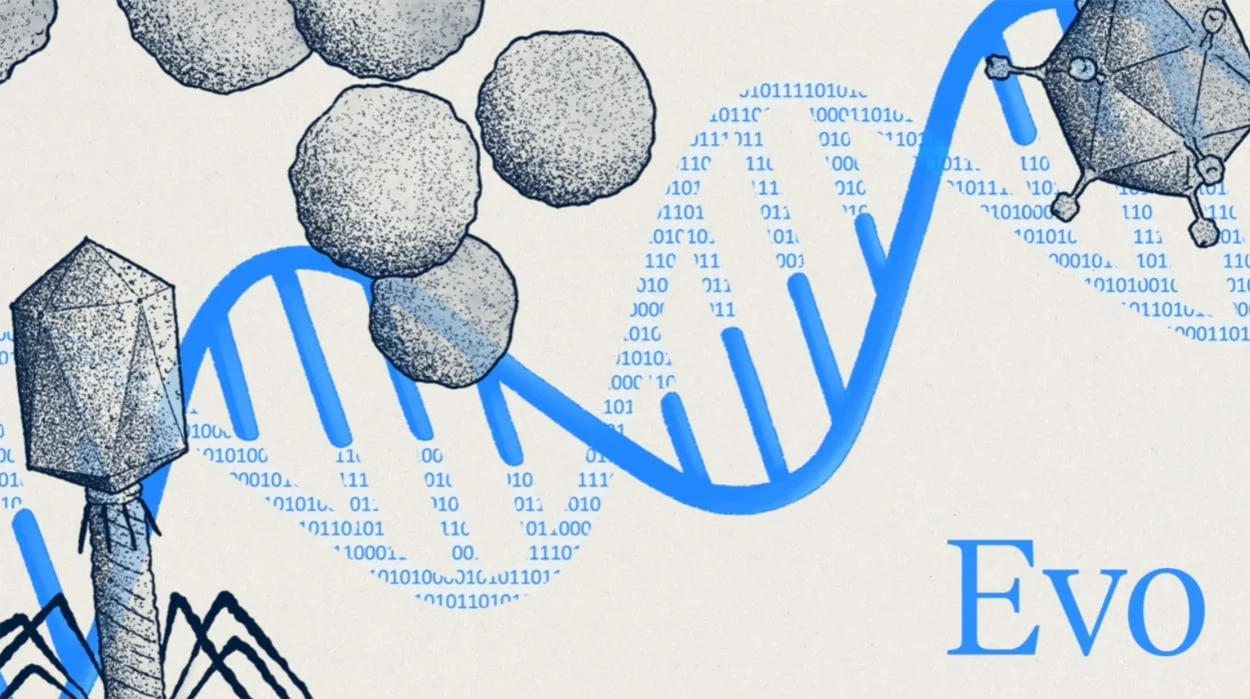 KI-Sprachmodell analysiert und entwirft DNA-Sequenzen