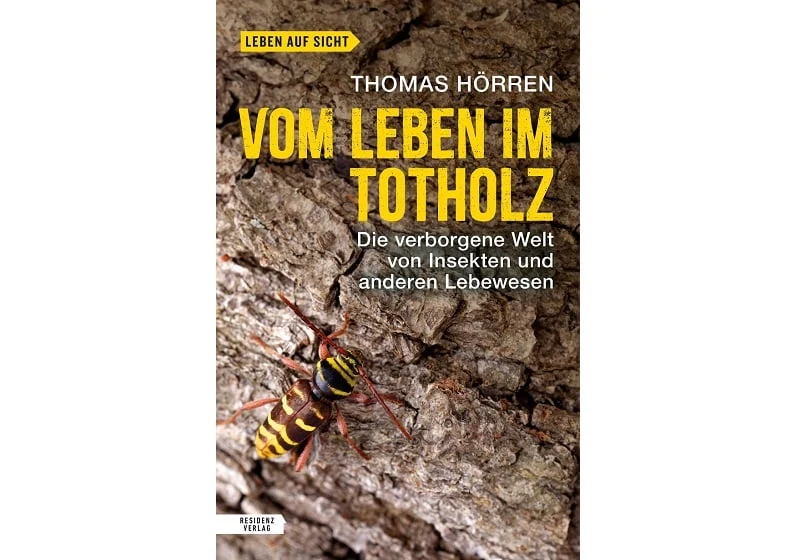Blick unter die Borke