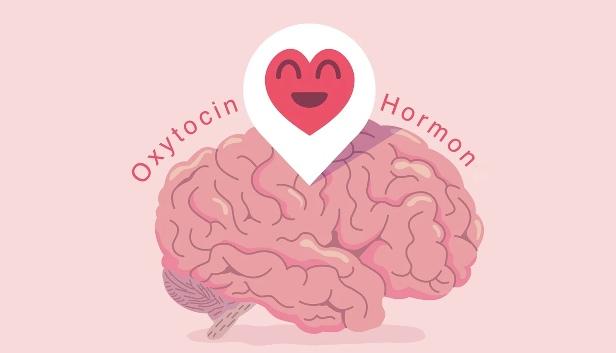 Oxytocin: Kuschelhormon stärkt auch Rivalitäten
