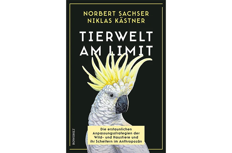 Zwang zur Anpassung