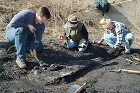 Riesen-Kopffüßer in Arkansas entdeckt