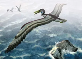 Vorsicht, bissig!