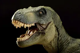 <i>T. rex</i> auf frischer Tat ertappt