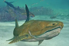 Grimmiger Fisch, große Veränderung