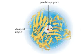 Chemie-Nobelpreis für Computermodellierer