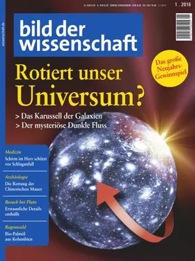 Die Januar-Ausgabe ist jetzt am Kiosk!