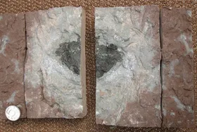 Einzigartiger "Himmelsbote"