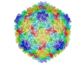 Proteine unterm Kryo-Mikroskop