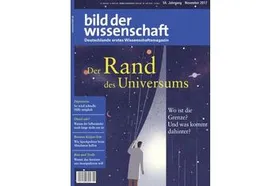 bild der wissenschaft 11-17