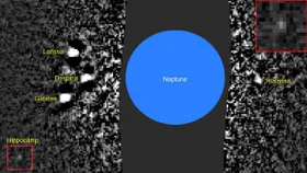 Neptuns neuer Mond im Blick