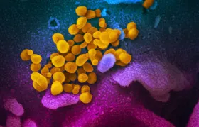 Was das Coronavirus in der Lunge anrichtet