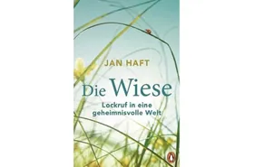 Geheimnisvolle Wiesenwelt