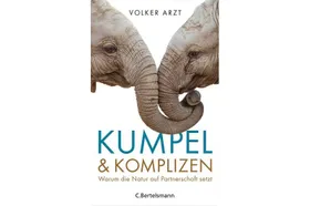 Partnerschaft ist Trumpf