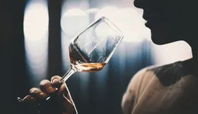 Alkohol verändert Zellzwischenräume im Gehirn