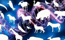 Kartierung der Wirbeltiergenome