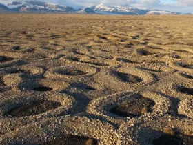 Ein Zen-Garten der Natur