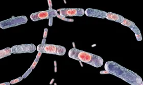 Anthrax blockiert Schmerzen bei Mäusen