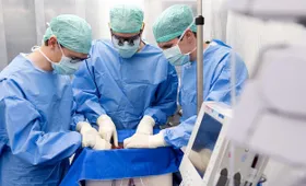 Spenderleber für Transplantation repariert