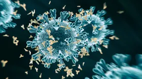 Neuer Antikörper gegen Coronavirus-Varianten