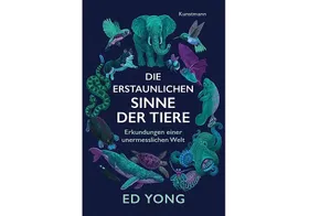 Kleine Fenster in Paralleluniversen