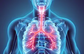 Wie Asthmaanfälle die Atemwege schädigen