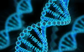 DNA-Computer speichert und verarbeitet Daten